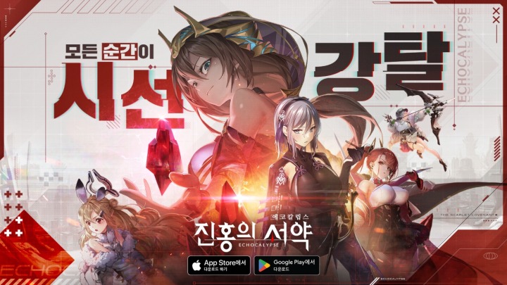 에코 이미지