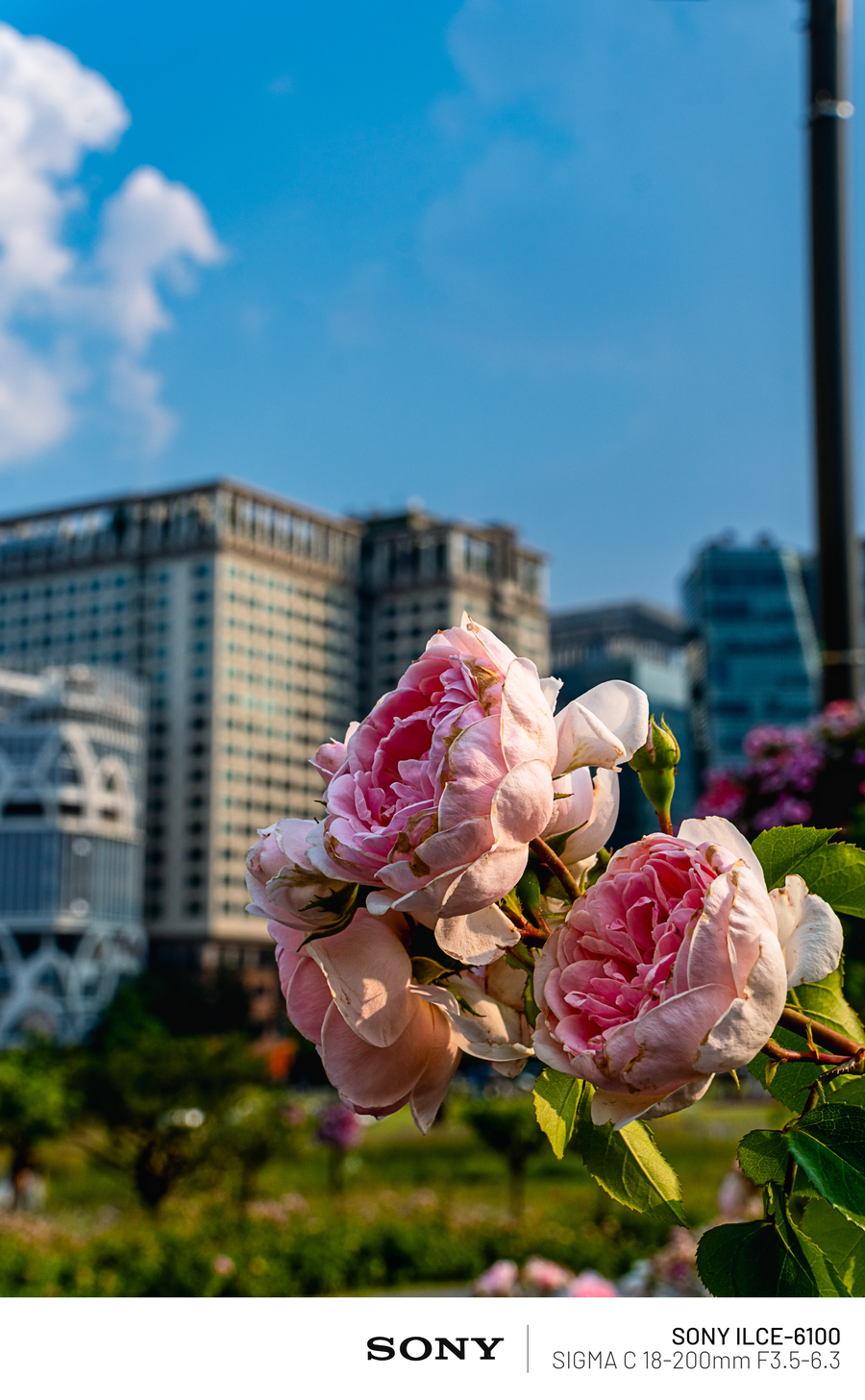 사진)현충일 열린송현 녹지광장_2.webp