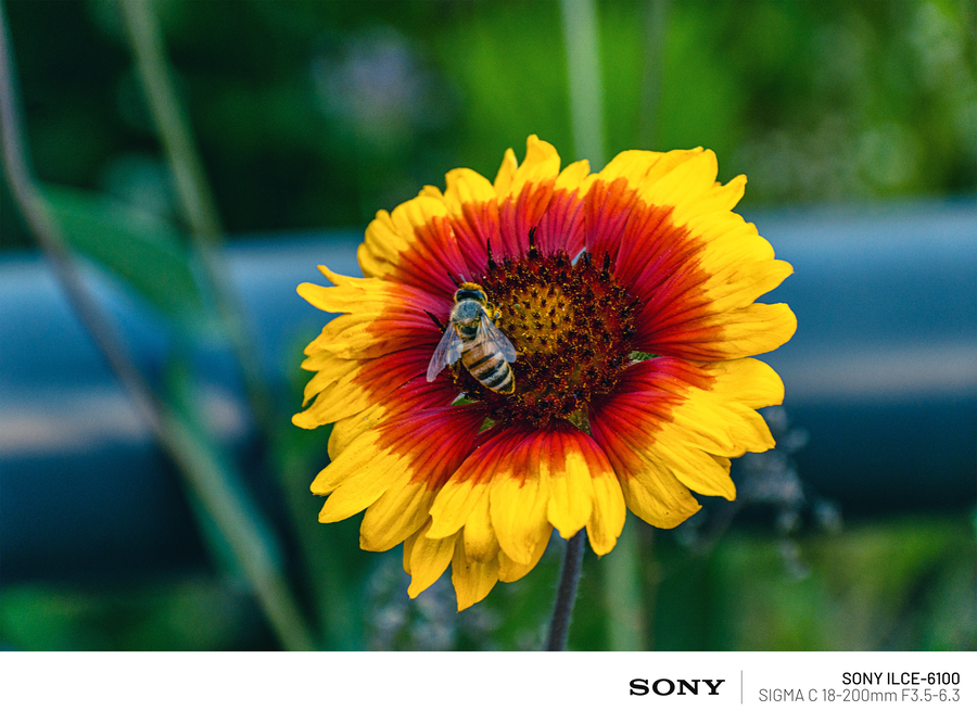 사진)현충일 열린송현 녹지광장_6.webp