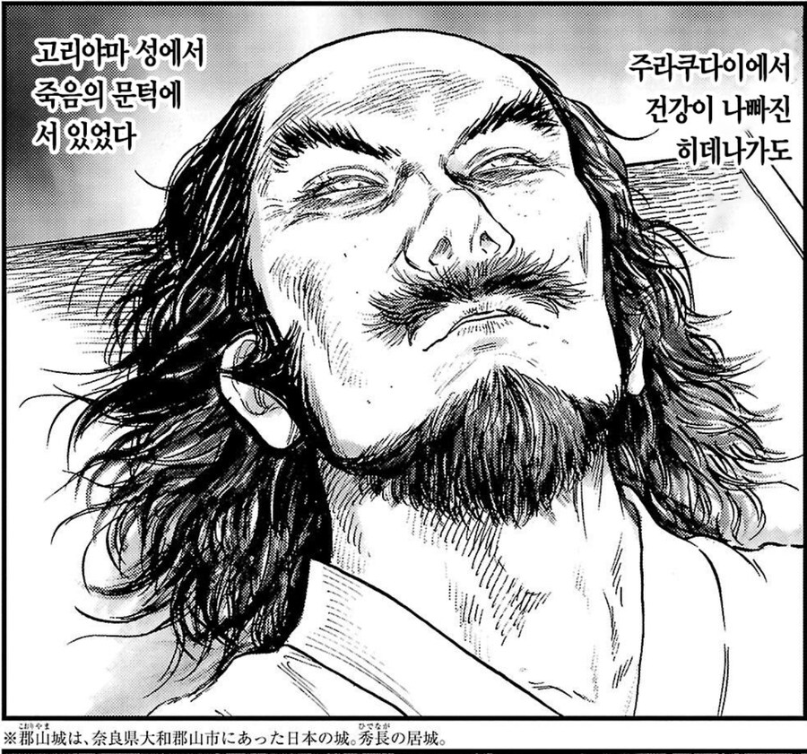 도요토미 히데요시가 유일 오열통곡했던 형제의 죽음_10.jpg