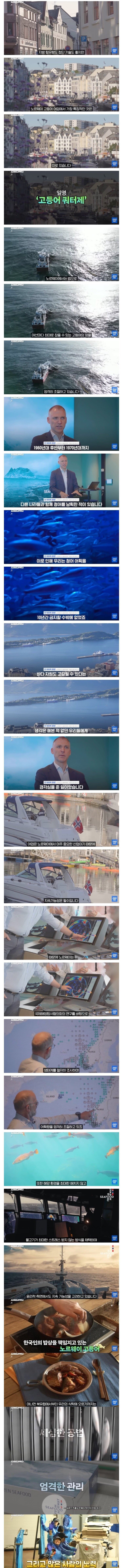 고등어)노르웨이가 고등어 수출 강국이 된 이유.jpg_5.png