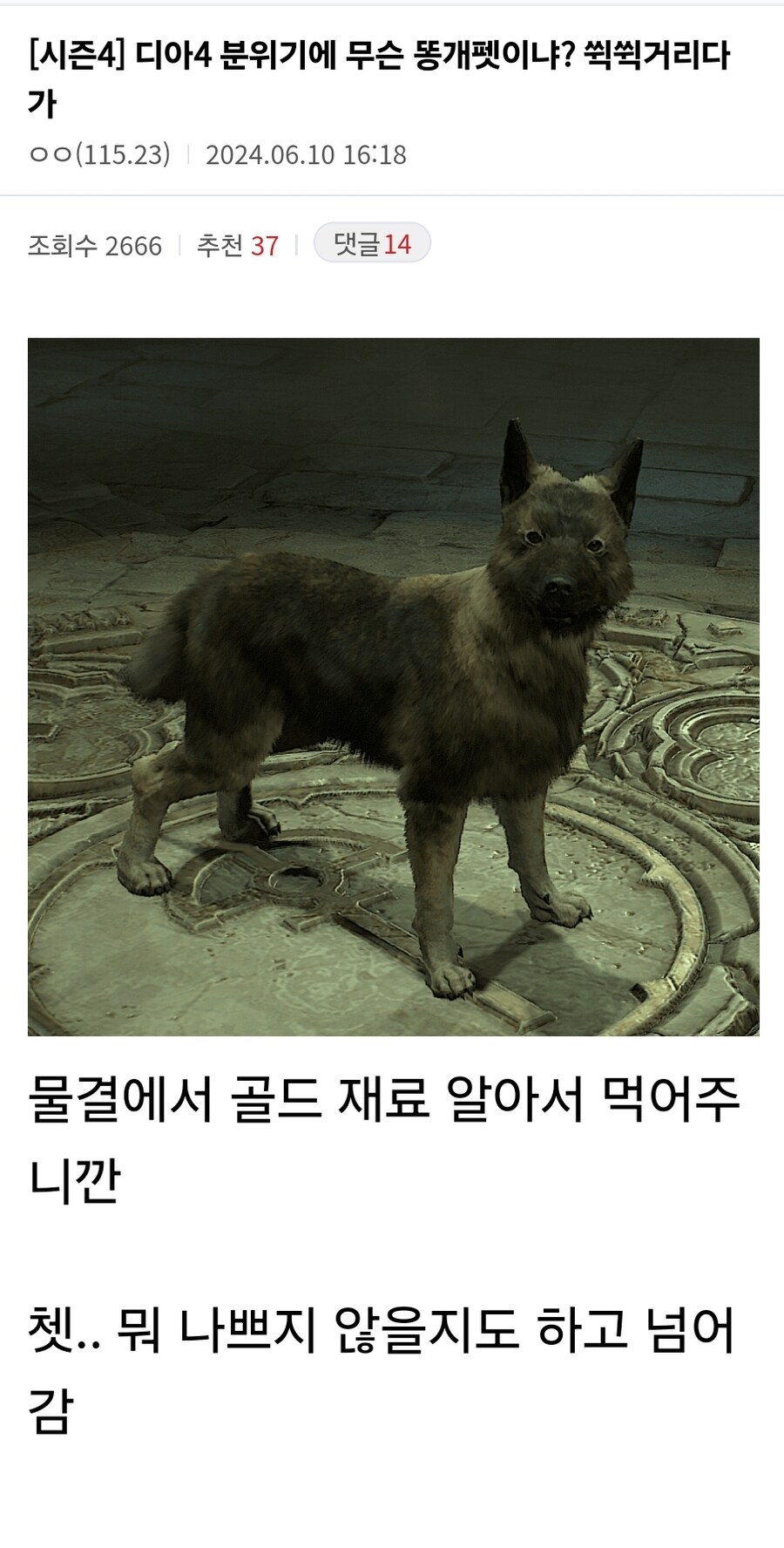 디아4) 디아4 분위기에 무슨 똥개펫이냐_1.jpg