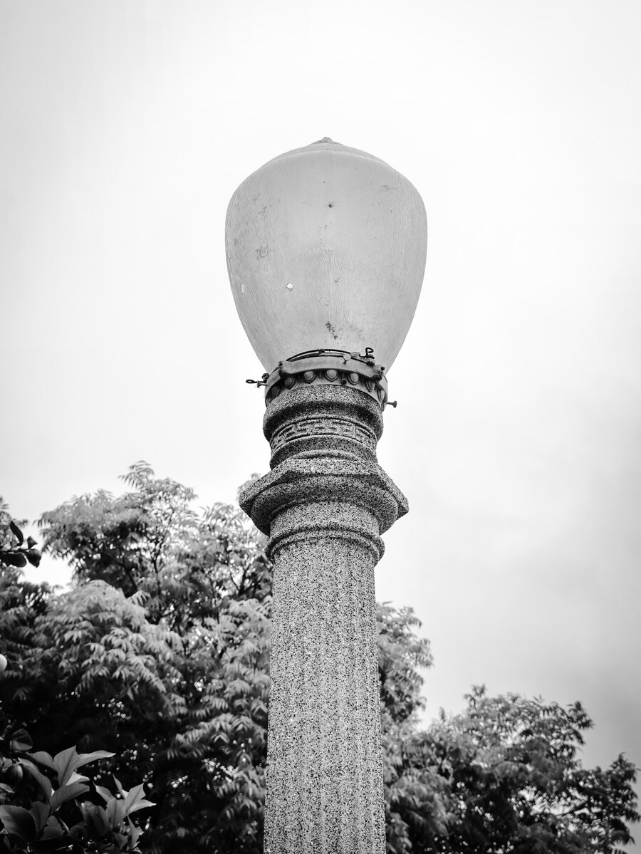 사진) 캐논 EOS R50으로 이것저것 찍어봄_6.jpg