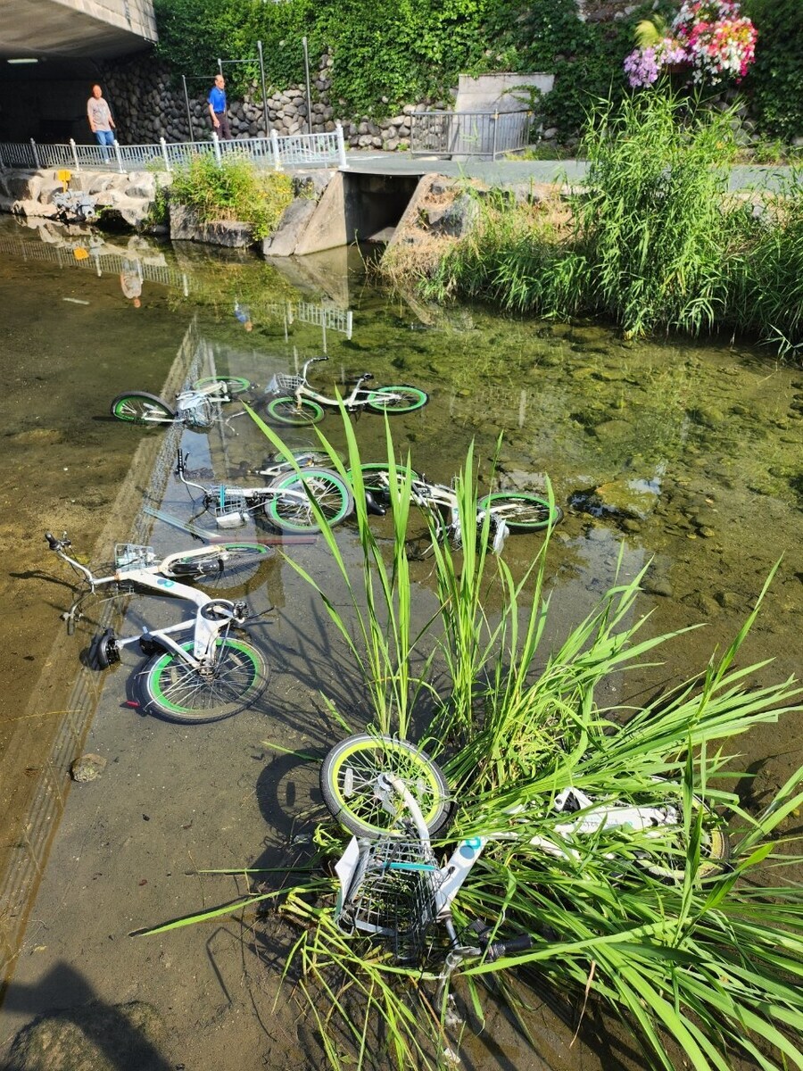 성북구에 나타난 미친 사람 근황...jpg_1.jpg