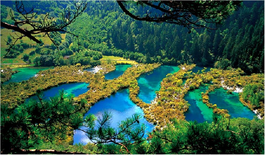 [요모] 중국 청두, 구채구 프라이빗 투어! 115만원~_3.jpg