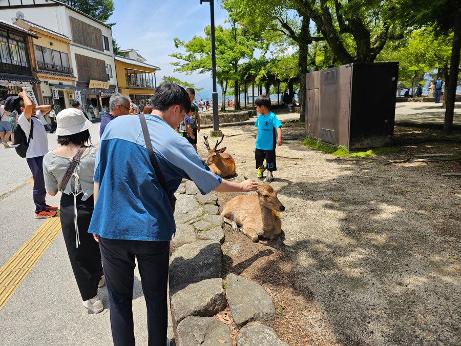 스압) 오사카에서 히로시마 당일치기_30.png