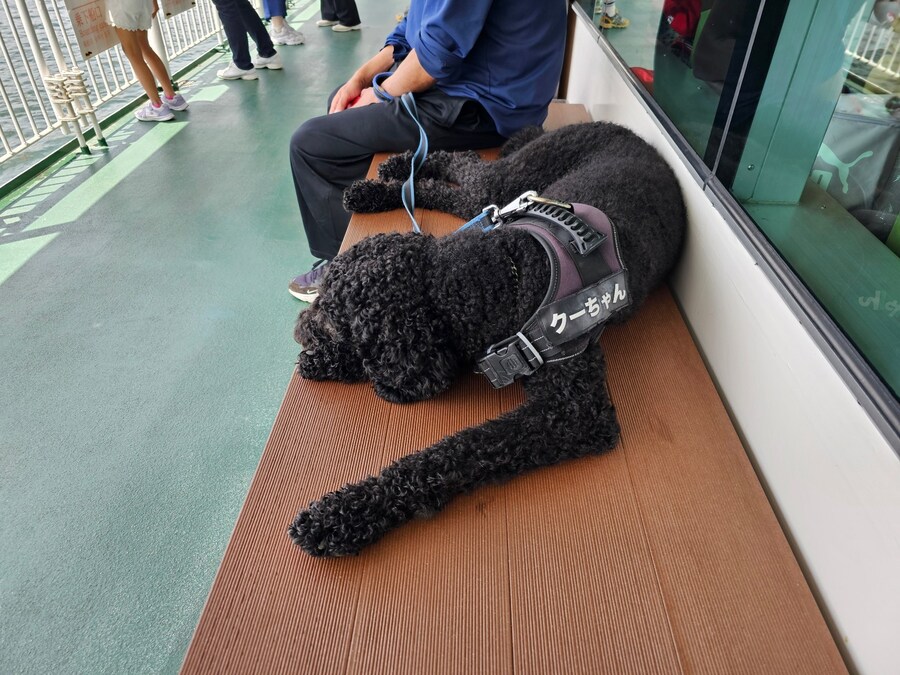 스압) 오사카에서 히로시마 당일치기_35.png