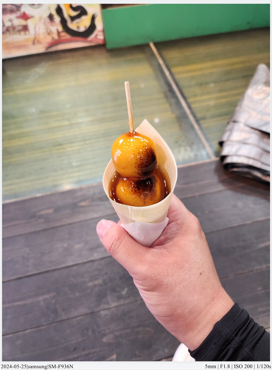 교토 여행기[24.05.24~27] - 2일차(上),후시미이나리,청수사,은각사_41.jpg