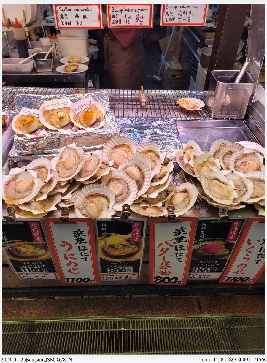 교토 여행기[24.05.24~27] - 2일차(上),후시미이나리,청수사,은각사_85.jpg