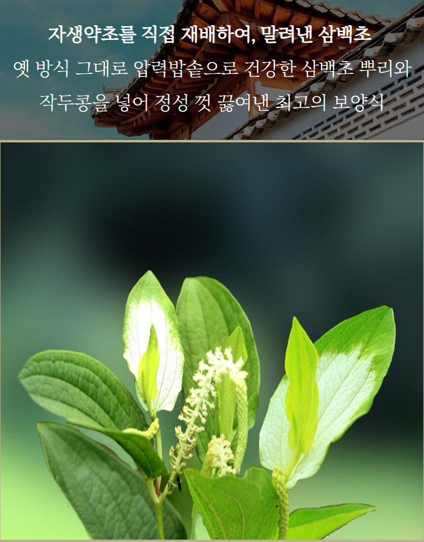 [네이버]초복맞이, 삼백초 참옻닭 2kg 라방 혜택가 69,900원!!_4.jpg