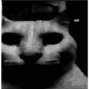 주식) 새벽에 지옥이었던 미국주식 상황_6.webp