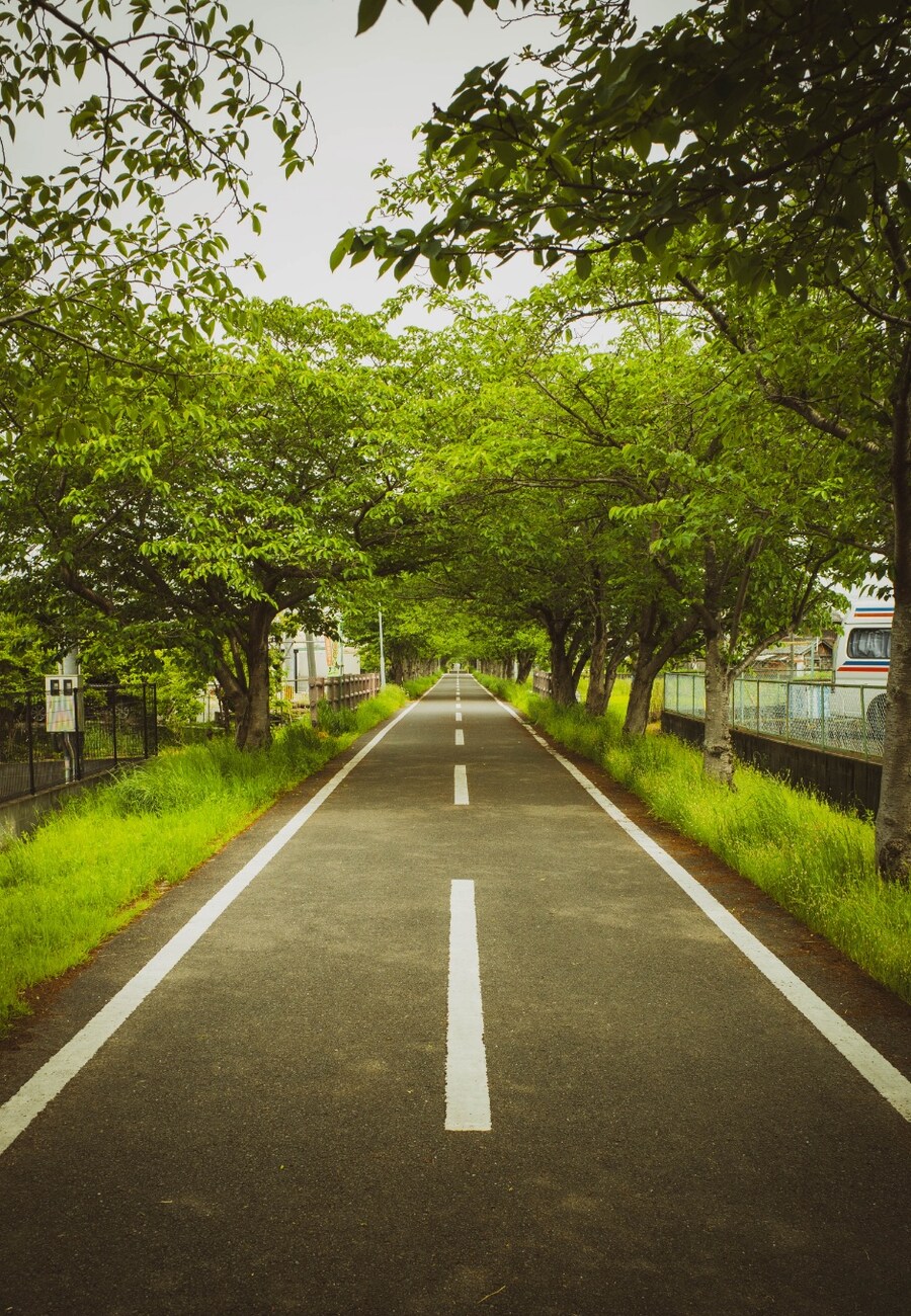 아이 둘 유부남, 홀로 북규슈 여행 5박 6일 - (사가에서 자전거)_19.jpg