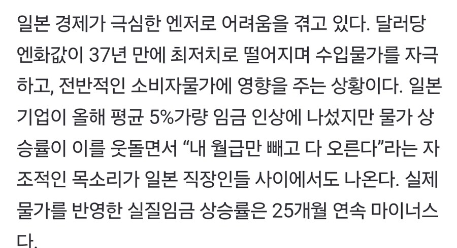 엔저에 시달리는 일본 “내 월급 빼고 다 올라” [JAPAN NOW]_1.jpg