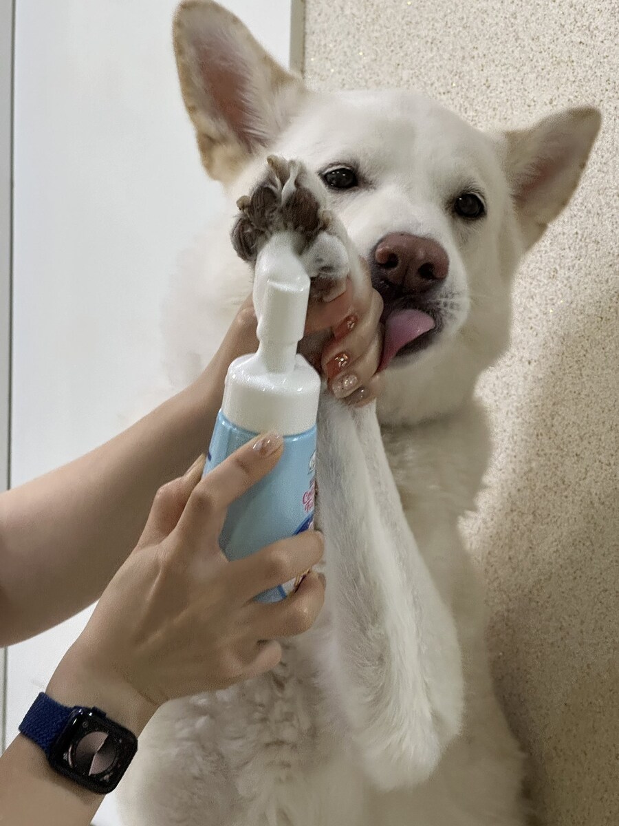 발을씻자 풋샴푸 근황_3.jpg