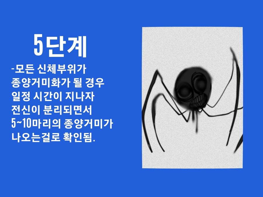공포)종양거미분열증 안내사항_9.jpg