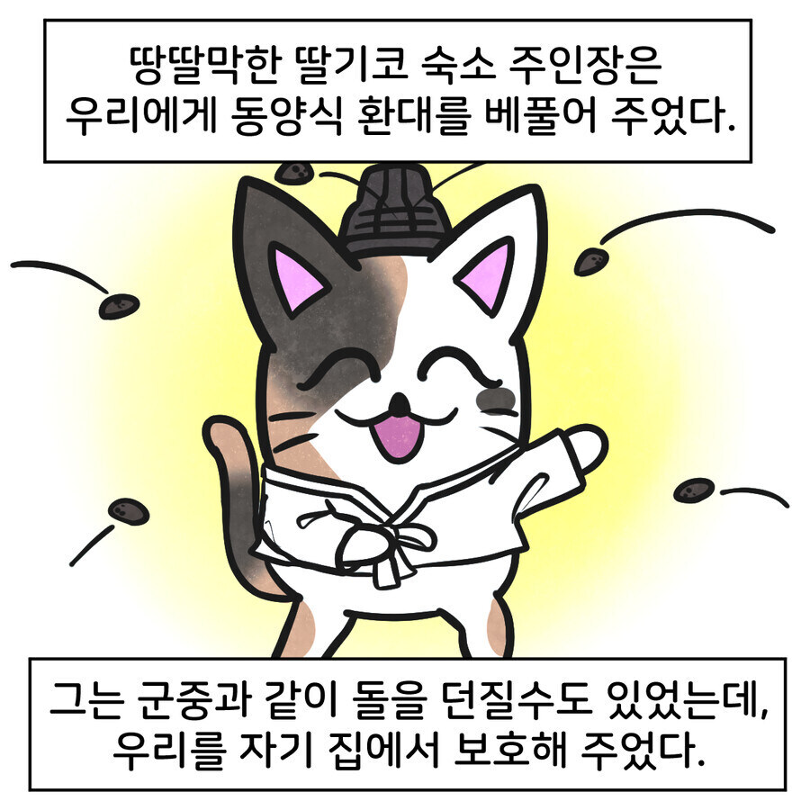 조선시대 대구에 온 외국인 만화_7.jpg