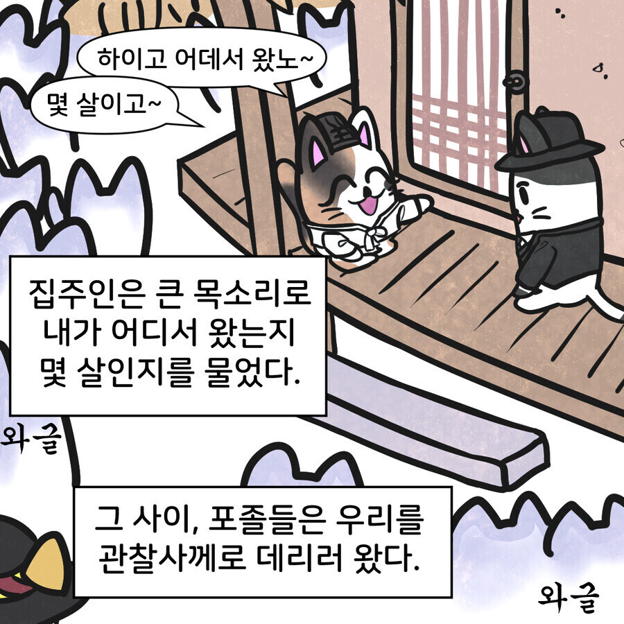 조선시대 대구에 온 외국인 만화_8.jpg