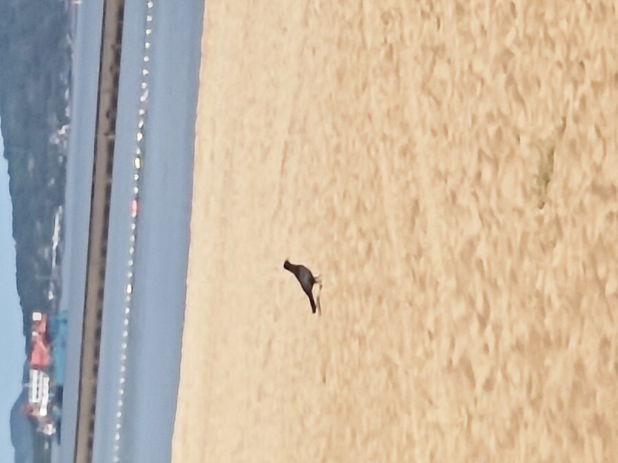 사세보 나가사키 여행 1_65.jpg