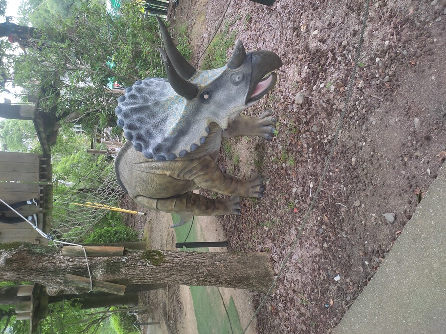 사세보 나가사키 여행 3_19.jpg