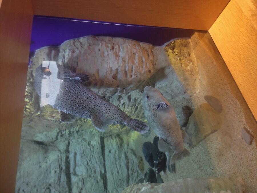 사세보 나가사키 여행 4_36.jpg