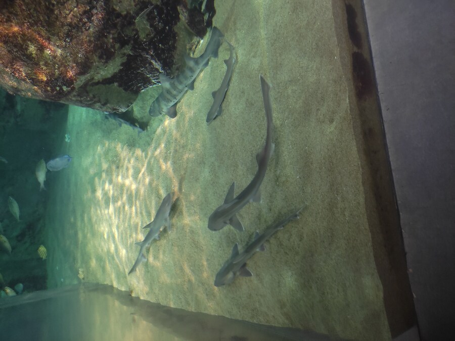 사세보 나가사키 여행 4_37.jpg