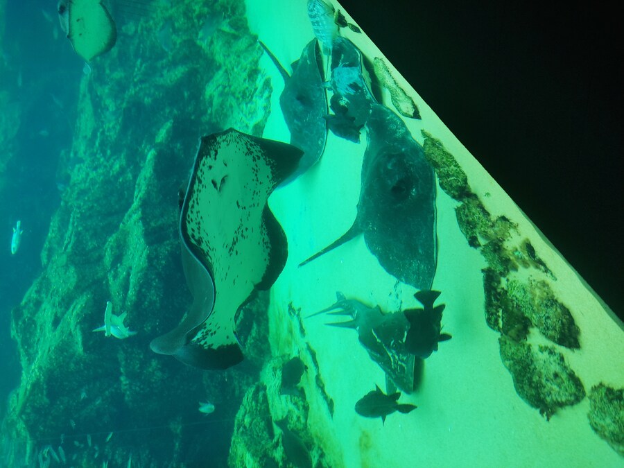 사세보 나가사키 여행 4_43.jpg