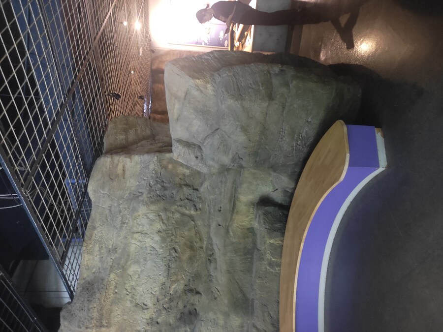 사세보 나가사키 여행 4_49.jpg