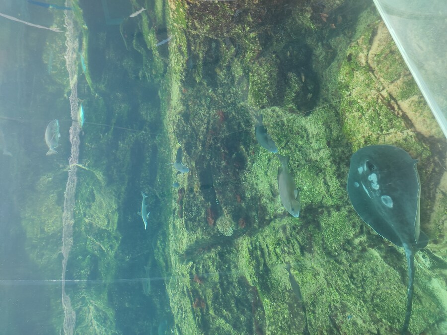 사세보 나가사키 여행 4_46.jpg