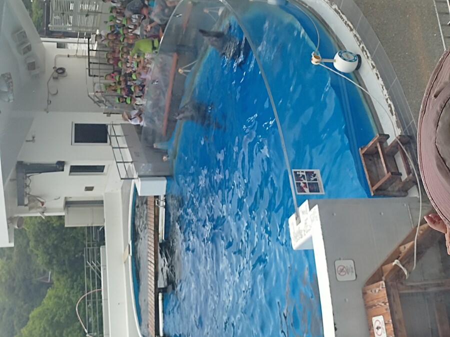 사세보 나가사키 여행 4_69.jpg