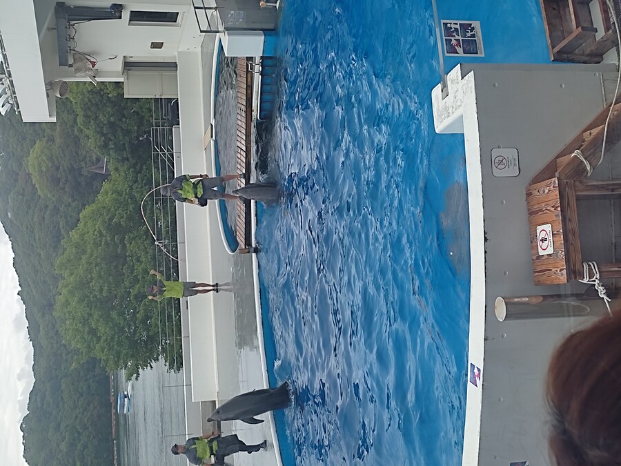 사세보 나가사키 여행 4_61.jpg