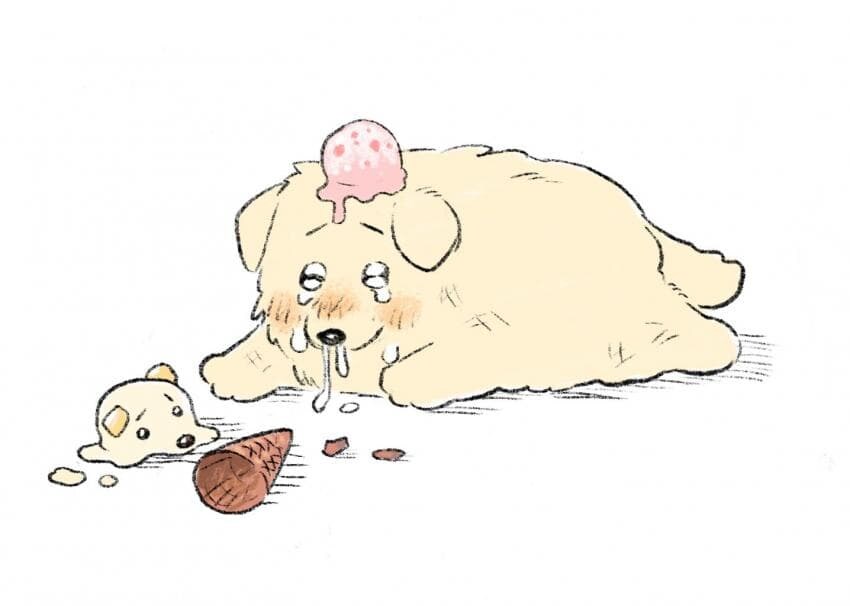 바보댕댕이와 아이스크림.jpg_3.jpg