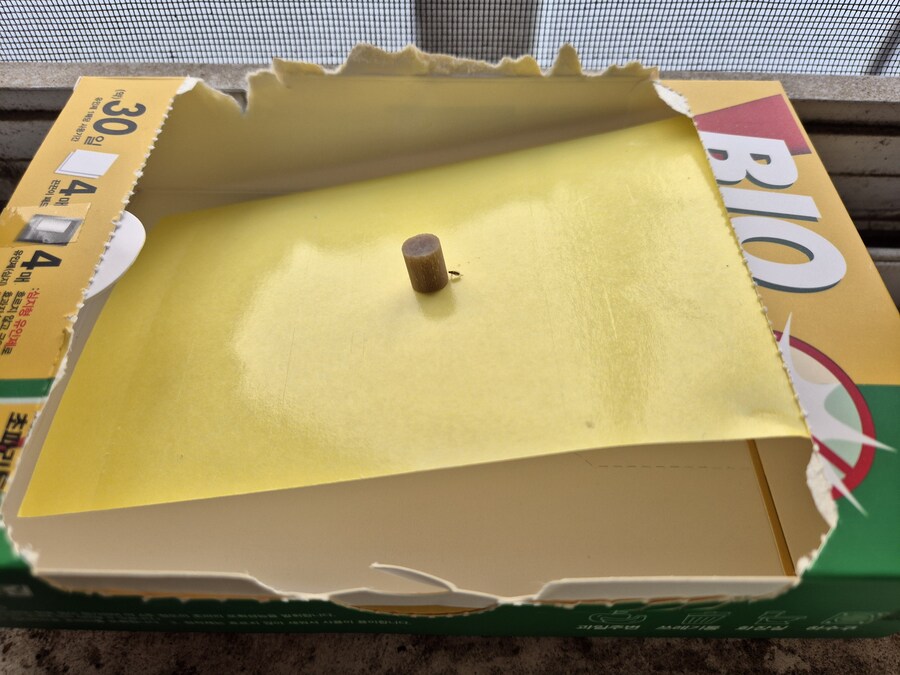 다이소) 2천원짜리 초파리 트랩 후기 2_1.jpg