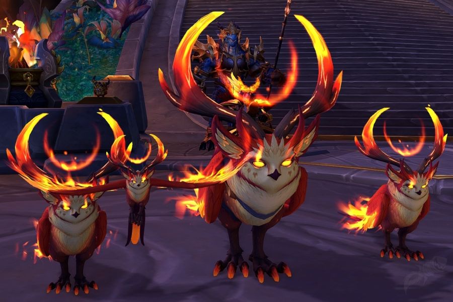 와우 내부 전쟁 사전 패치 전에 할만 한 것들: 4시즌, 비각성 레이드_4.jpg