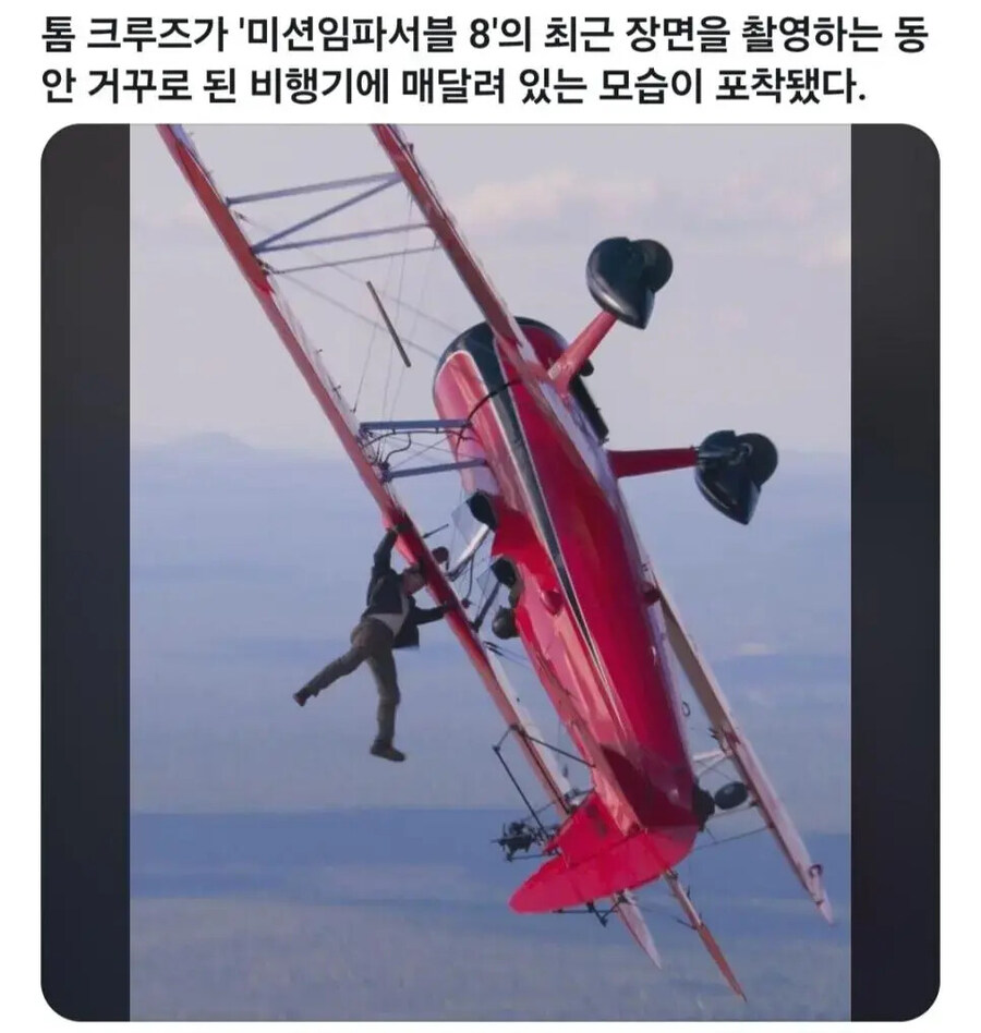 자연사 기원하는 영화 배우 1위_1.jpg