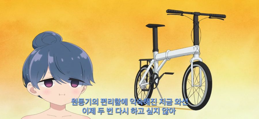 [유루캠] 은퇴한 자전거_19.jpg