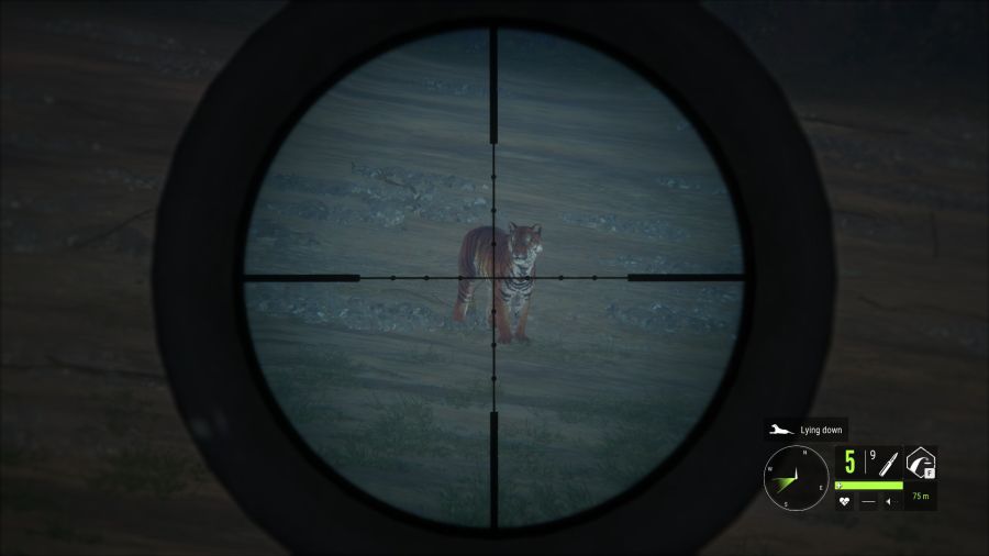 [사냥] 물가에서 밤새면서 지키고 있었더니 수컷 벵골호랑이가 나타났다._1.jpg