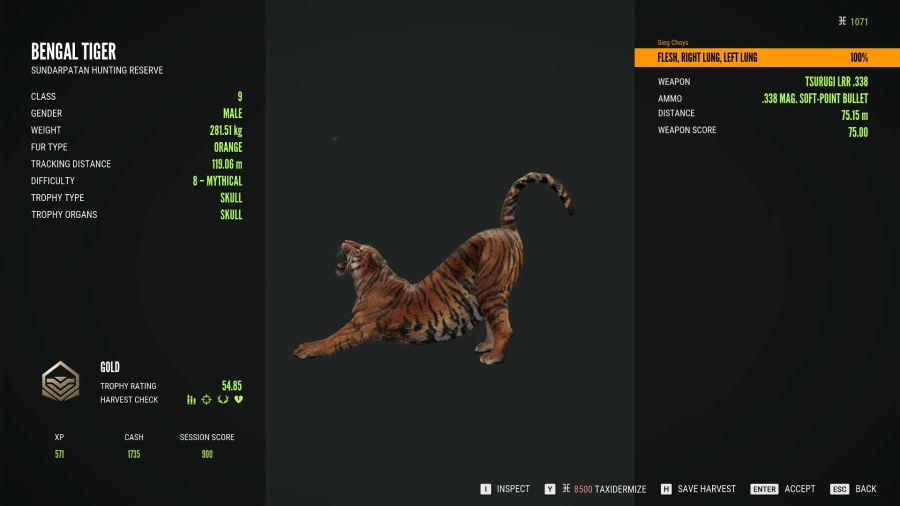 [사냥] 물가에서 밤새면서 지키고 있었더니 수컷 벵골호랑이가 나타났다._4.jpg