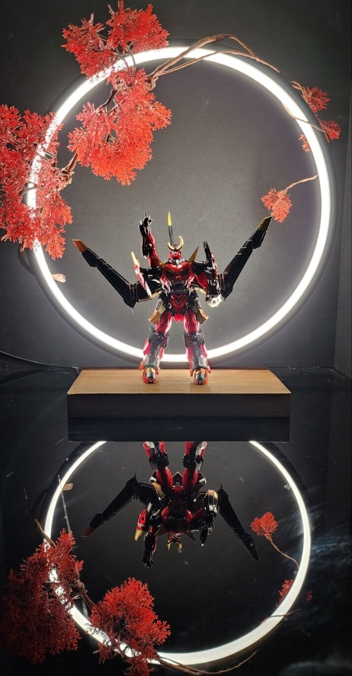 천원돌파 그랜라간! (부분도색)_13.jpg