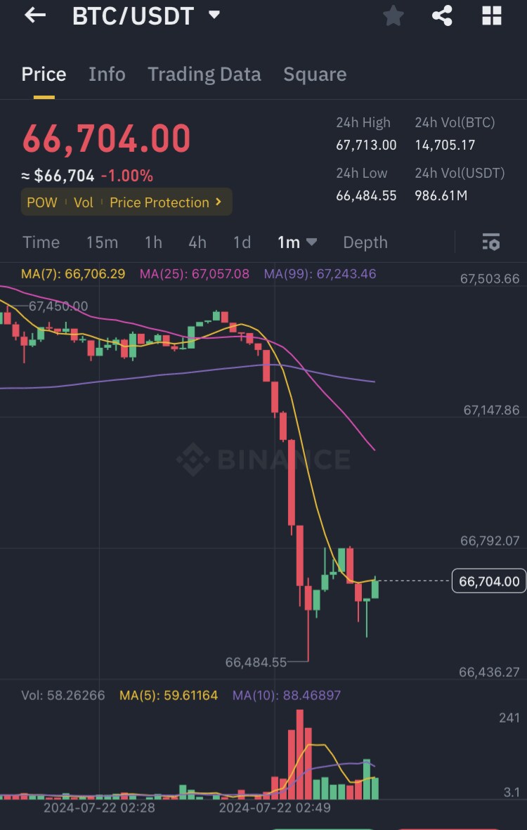 바이든 사퇴문 이후 코인 하락중