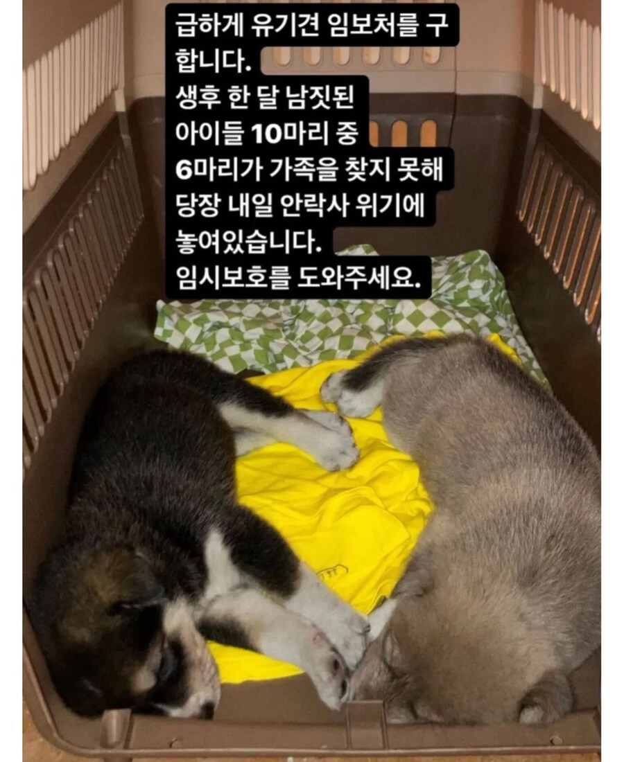 현재 논란중인 촬영팀의 진상짓_3.jpg