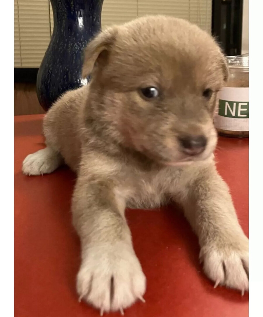 현재 논란중인 촬영팀의 진상짓_4.jpg