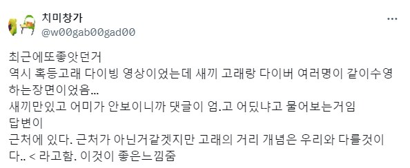 인간과 다른 고래의 거리감각.jpg_1.png