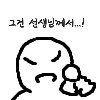 중국털파리 때문에 내년 수도권 지선 영향이 갈까?_1.png