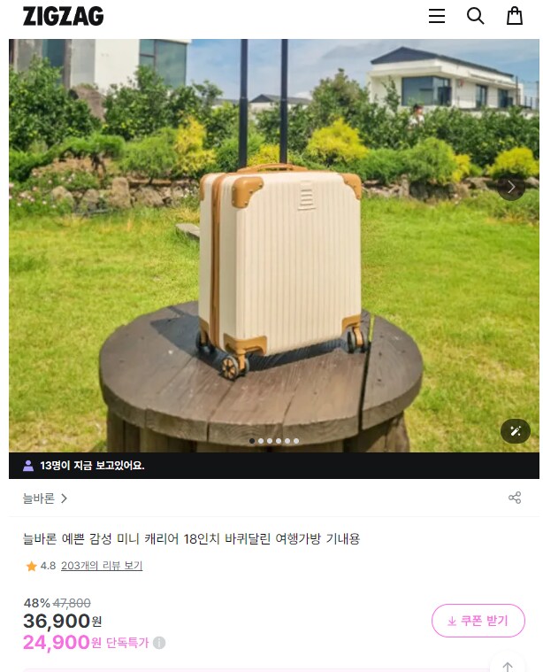 [지그재그] 기획전 캐리어 18인치 20인치 특가 24,900원 ~_1.png