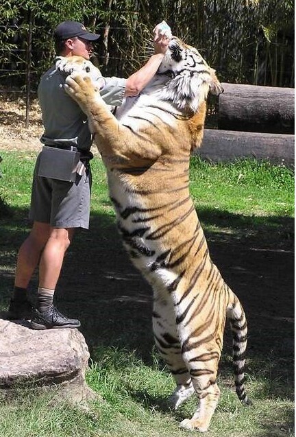 조선) 과거시험의 무시무시한 난이도_1.png