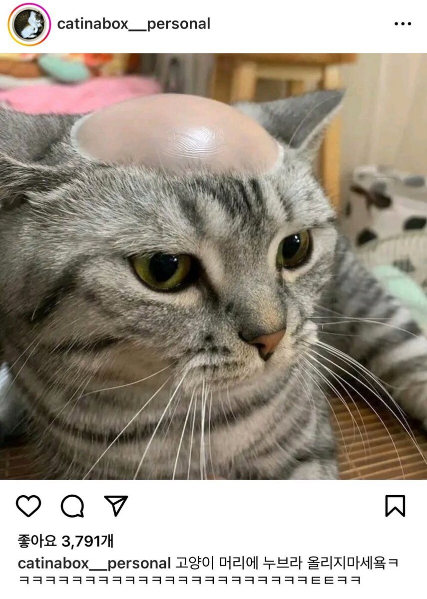 플로리다의 끔찍한 사건_2.png