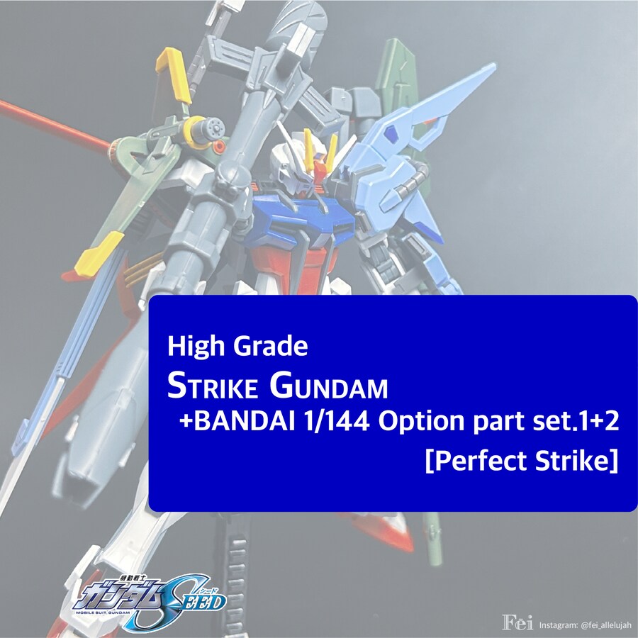 [EG]스트라이크, [HG]퍼펙트 스트라이크_1.png