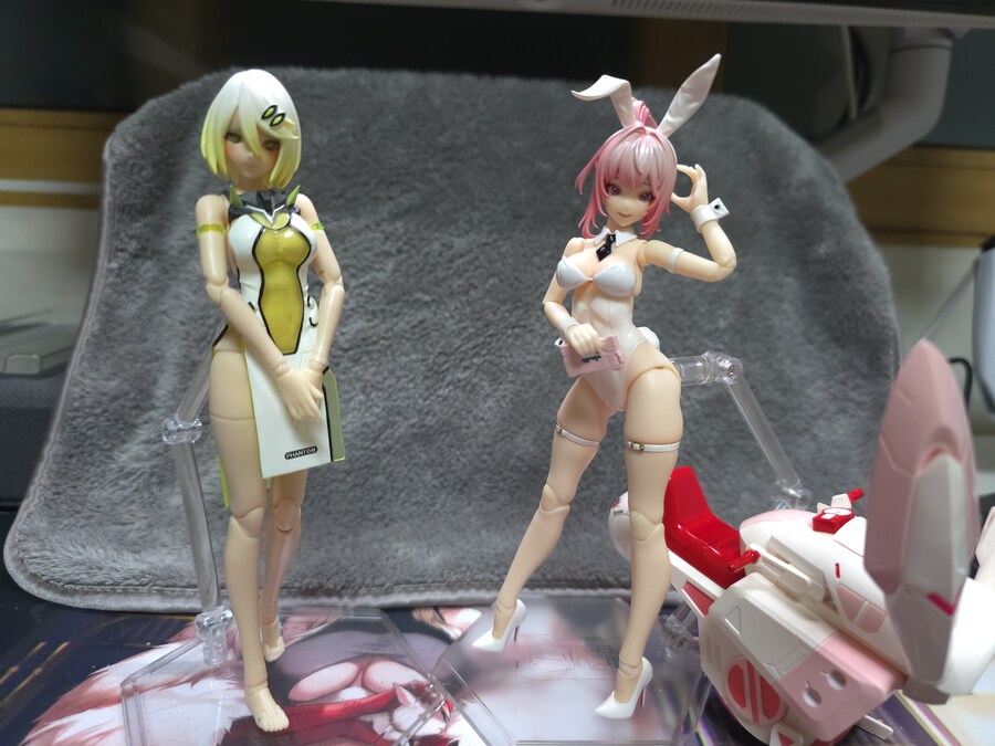 [스네일쉘] 바니걸 에일린_16.jpg