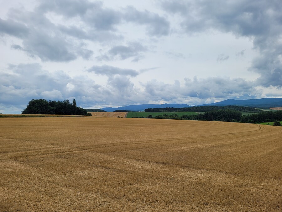 (스압) 5일간의 홋카이도 여행 - 비에이 (3/4)_13.jpg