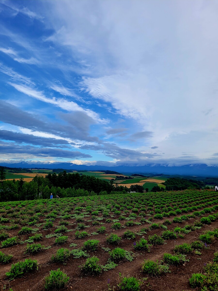 (스압) 5일간의 홋카이도 여행 - 비에이 (3/4)_26.jpg